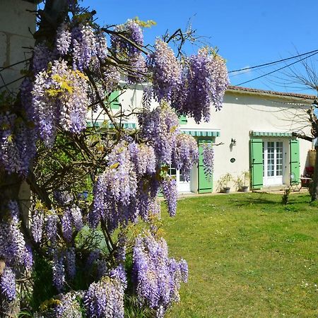 Le Petit Saule Βίλα Floirac  Εξωτερικό φωτογραφία